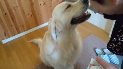 すっかり仲良し♡