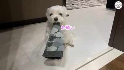 ナナくんとママさんのやり取り3
