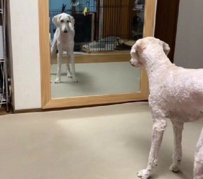 「もしや…私…?」