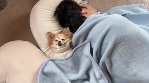 爆睡中の旦那さんと寄り添うアモちゃん2