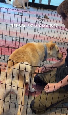 ゆってぃ君の変化9