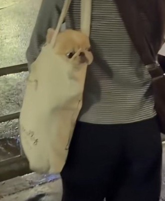顔がひょっこり♡