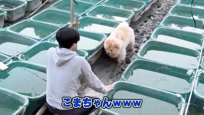 なんとか救出された