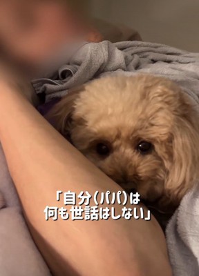 お世話しないと言ってたのに…