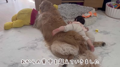 気にしないおからちゃん
