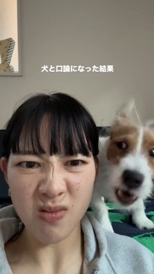 飼い主の声を聞いて吠える犬