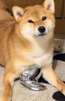 胸元を揉まれるマロンくん