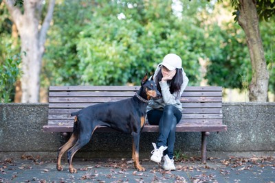 ベンチで愛犬を見つめる女性
