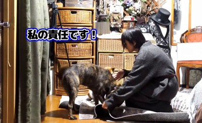 体を低くして飼い主に寄り添う犬