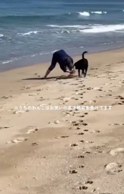 砂山を見るロコくん