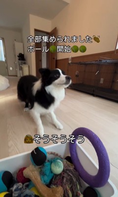 ボールを片付けるサンゴくん9