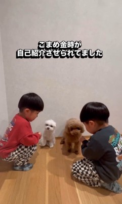 「お名前は?」とワンコたちに質問