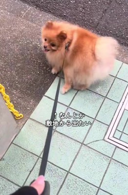 可愛い抵抗にクスッ