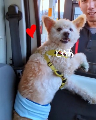 嬉しそうに振り返る犬