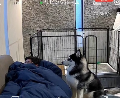 ガン見し続けるアイスくん