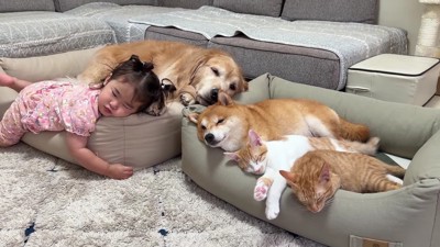 みんなで仲良くおねんね♡