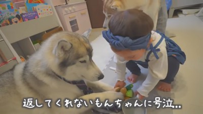 号泣する娘さん