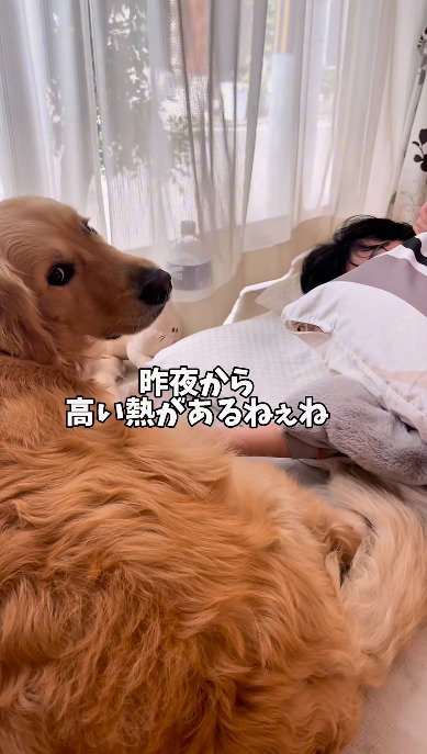 女の子の隣に横になってカメラをふり返る犬