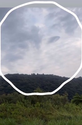 雲になって現れたウィルくん