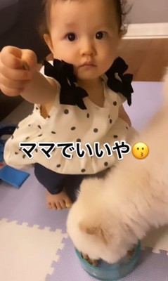 もちちゃんにご飯をあげるましろちゃん9