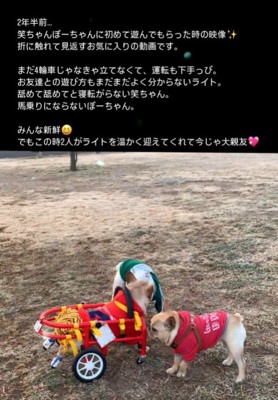 車椅子のライトくんとお友達3