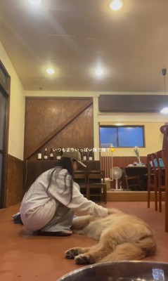 初めてカッパを着たライトくん9