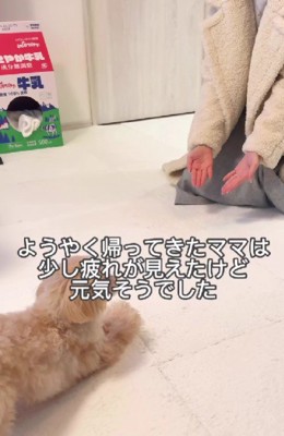 再会の瞬間に涙が止まらない