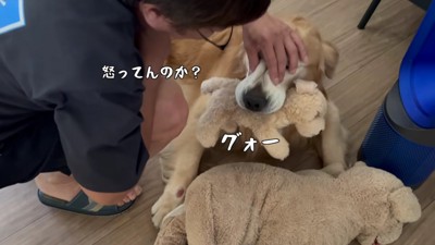 「なんで置いて行ったの！」