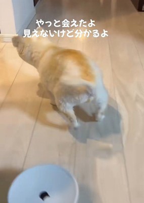 お兄ちゃんの気配が…