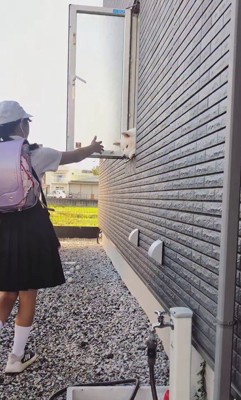 秋田犬のお見送りとお出迎え