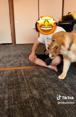 お客さんのまわりを歩く福ちゃん