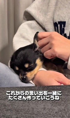 成長しても可愛い♡