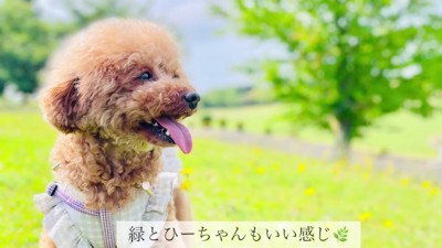 幸せそうな笑顔に涙…