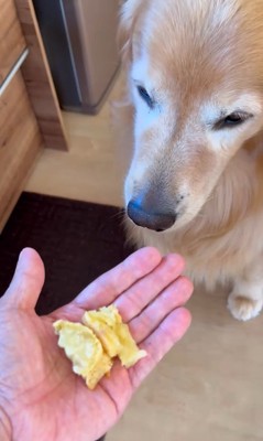 お手伝いするホット君⑩