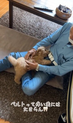 ちゃこたろう君と祖父母の初対面8