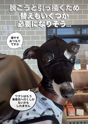 洗い替えも必要です
