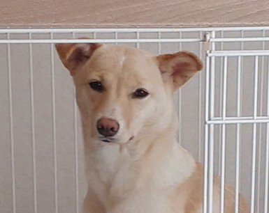 そらちゃんの変化2