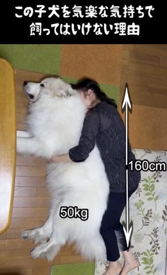 すべてがビッグに