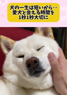 1分1秒でも大切にしたい