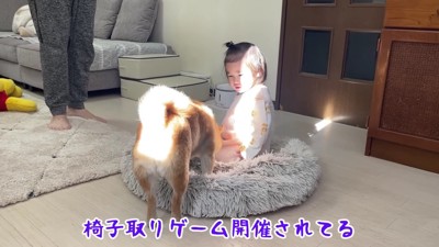 まるで椅子取りゲーム？