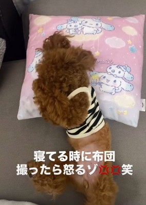 「まぶしい！」