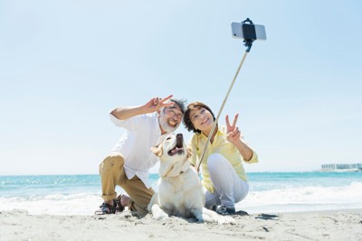 海で犬と写真を撮る