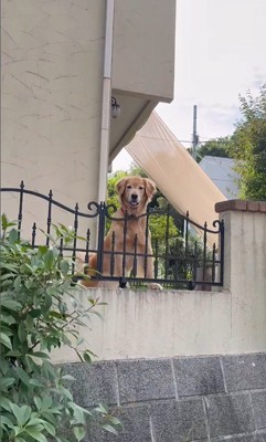 ララちゃんの熱烈歓迎