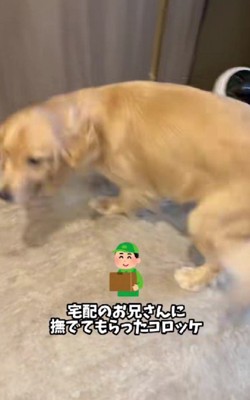 「まだいるよね！？」