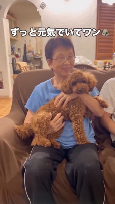 ソファーに座っている女性に抱っこされる犬