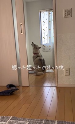 甥っ子と姪っ子が帰った後の神ちゃん4