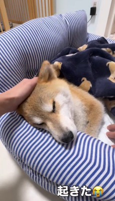 突然に目を覚ました！！