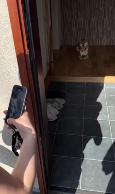 お友達が遊びに来た時のはちちゃん2