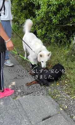 豹馬くんの変化7