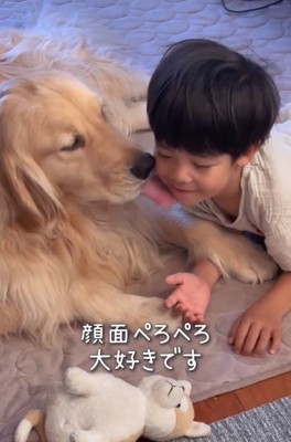 男の子の顔を舐めるエルくん